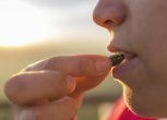 Грызть семена смертельно опасно — врачи